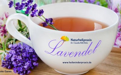 Arzneipflanze 2020: Wunderbar duftender Lavendel